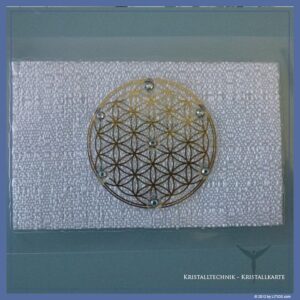 TARJETA CRISTAL LITIOS