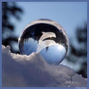 ESFERA DEL DELFÍN LITIOS