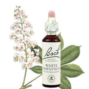 White Chestnut - Castaño De Indias 20ml