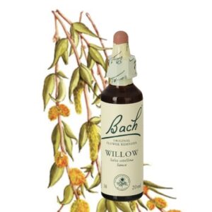 Willow - Salix Vitellina 20ml