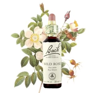 Wild Rose - Rosa Silvestre 20ml