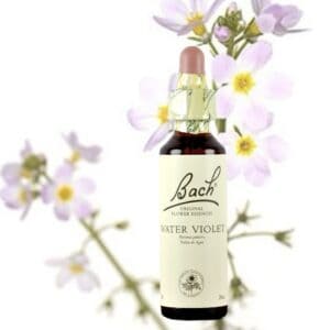 Water Violet - Violeta De Agua 20ml