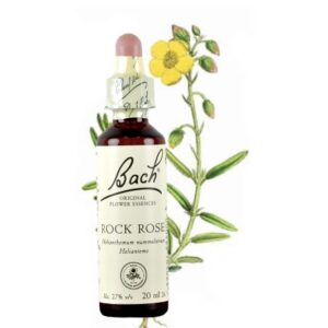 Rock Rose - Heliantemo