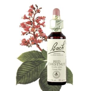 Red Chesnut - Castaño Rojo