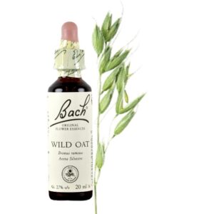 Wild Oat - Avena Silvestre