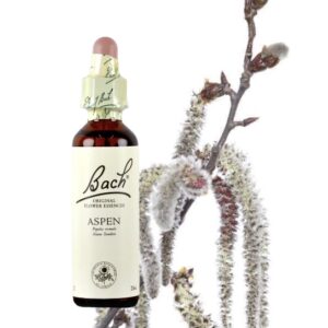 Aspen - Alamo Temblon