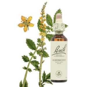 Agrimony - Agrimonia
