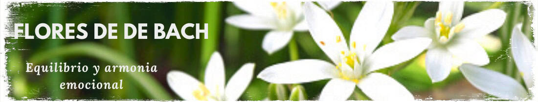 Flores de bach